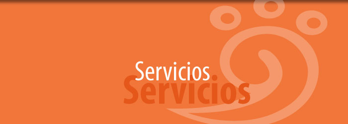 servicios